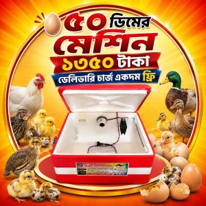 ৫০ ডিমের মেশিন (AC)
