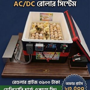 ৫৬ ডিমের অটো রোলার  ( AC/DC )
