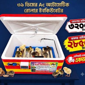 ৩৯ ডিমের মেশিন ( AC ) অটোমেটিক