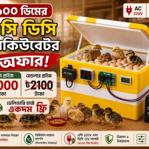 ১০০ ডিমের মেশিন (AC/DC)