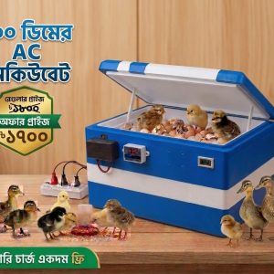 ১০০ ডিমের মেশিন (AC)